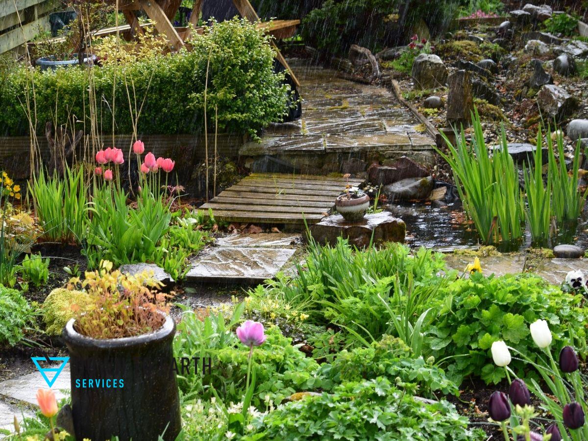 stormwater rain garden naturescape